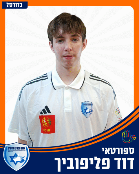 דוד פליפוביך